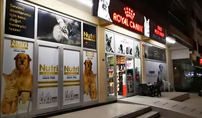 D&D PetShop