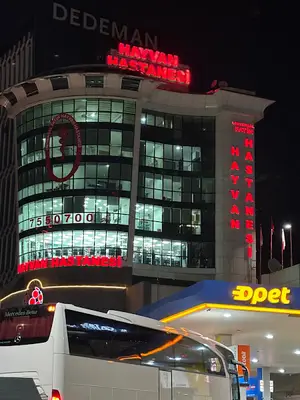MALTEPE UNIVERSAL FATİH HAYVAN HASTANESİ ,VET HAST MALTEPE/ KÜÇÜKYALI VETERİNER