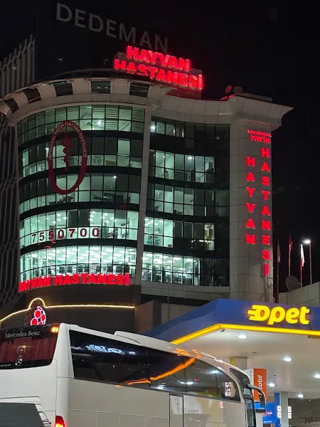 MALTEPE UNIVERSAL FATİH HAYVAN HASTANESİ ,VET HAST MALTEPE/ KÜÇÜKYALI VETERİNER foto 1