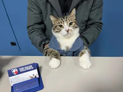 Çağdaş Veteriner Kliniği