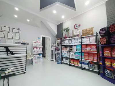 Asgard Veteriner Kliniği