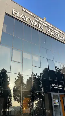 İstanbul üniversitesi avcılar Hayvan hastanesi açil araç girişi