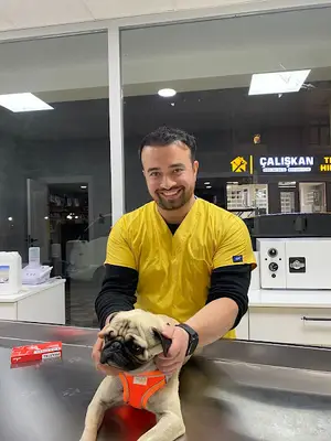 Boncuk veteriner kliniği