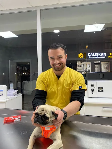 Boncuk veteriner kliniği foto 1