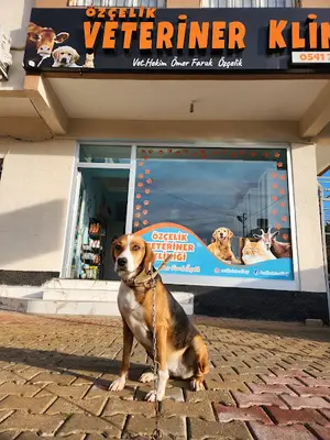 Özçelik Veteriner Kliniği