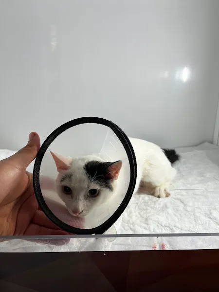 Coşkun Veteriner Kliniği foto 2