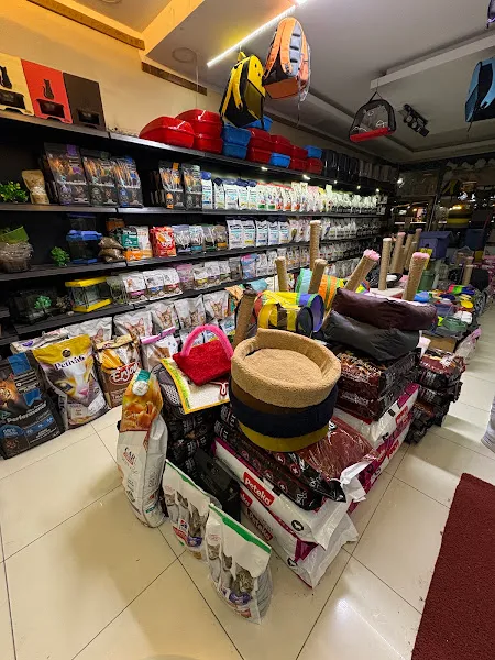 Çınar Akvaryum Petshop foto 2