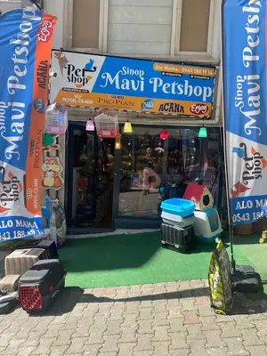 Sinop mavi petshop