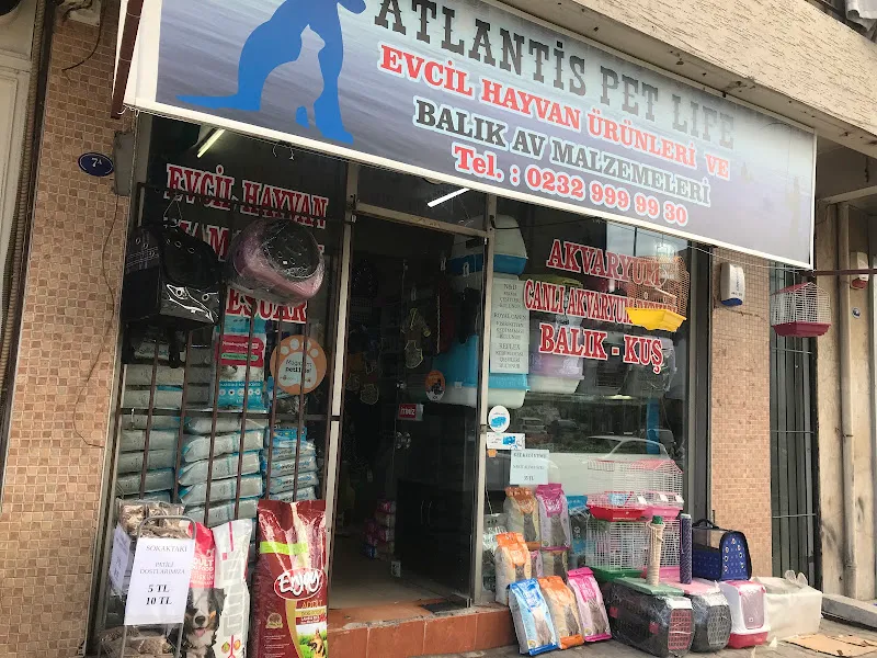 Ekvator Akvaryum Ve Kuş Malzemeleri foto 1