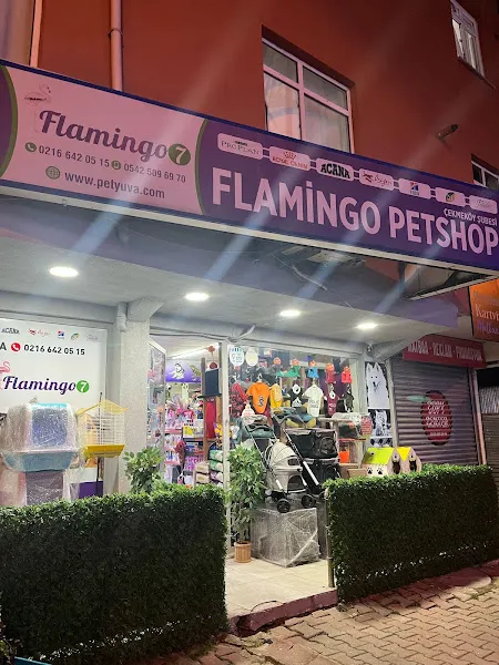 ÇEKMEKÖY FLAMİNGO PETSHOP 7 foto 1