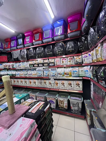 ÇEKMEKÖY FLAMİNGO PETSHOP 7 foto 2