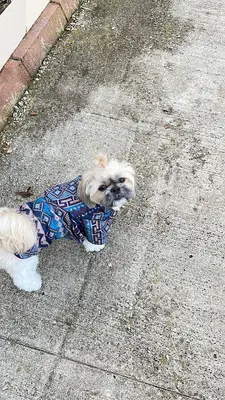 Petmark Evcil Hayvan Ürünleri