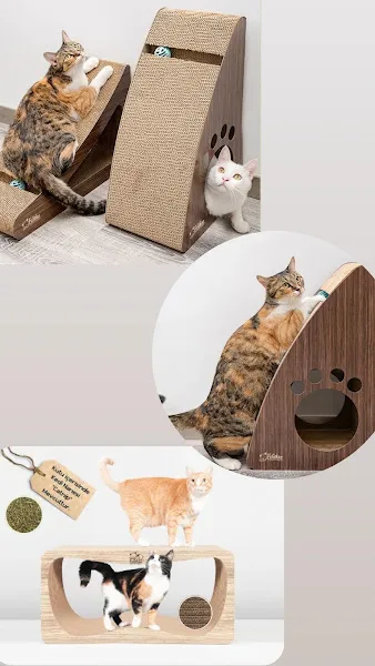 Jasmin Petshop foto 1