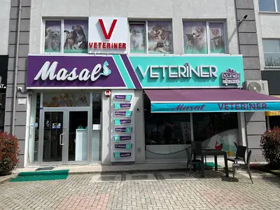 Masal Veteriner Polikliniği