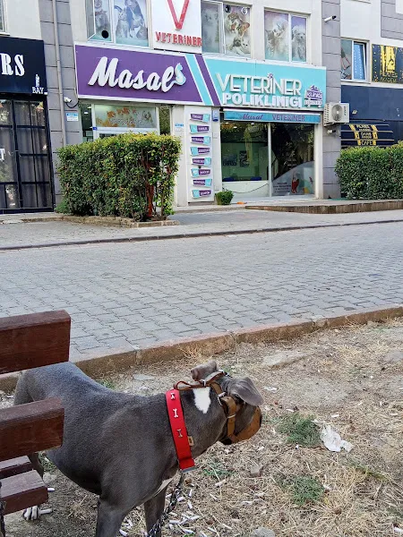 Masal Veteriner Polikliniği foto 2