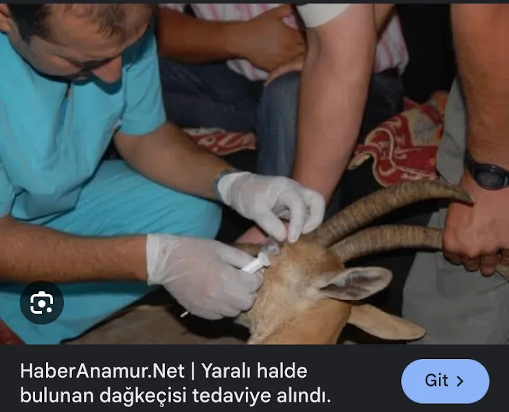 Tuğrul Veteriner Kliniği foto 1