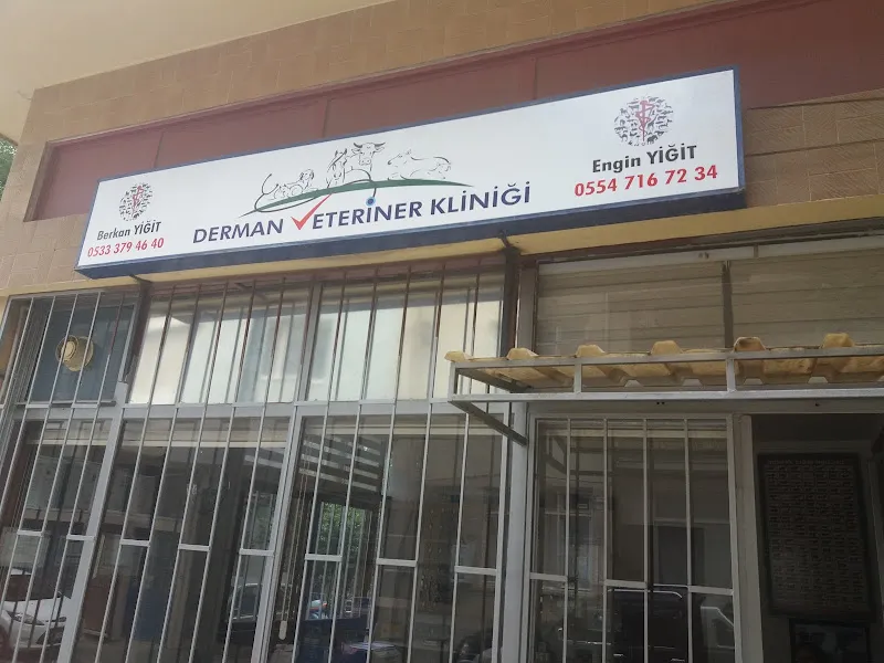 Derman Veteriner Kliniği foto 1