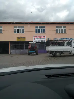 Veteriner Hekim Serkan Başbuğ