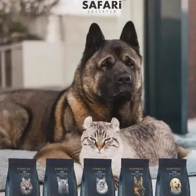 Safari Organize Fabrika