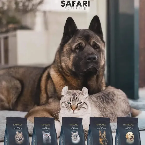 Safari Organize Fabrika foto 1