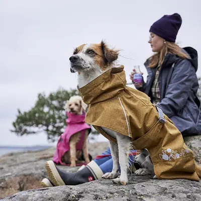 Wonderwoof