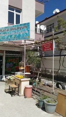 Kartal Kuş Ve Akvaryum Galerisi