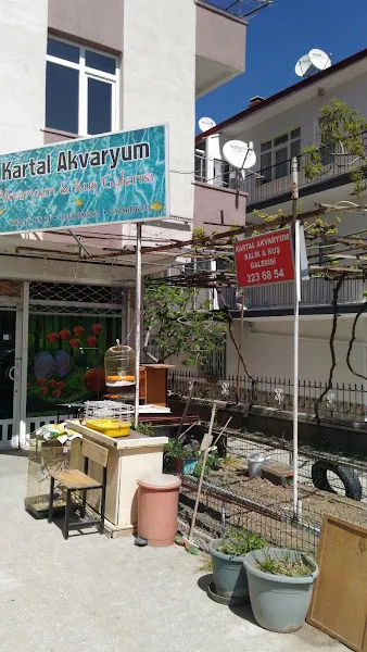 Kartal Kuş Ve Akvaryum Galerisi foto 1