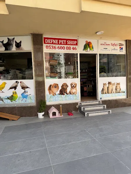 DEFNE PETSHOP BALIK VE PET ÜRÜNLERİ foto 2
