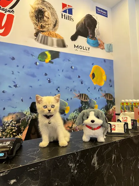 Başak City Petshop foto 2
