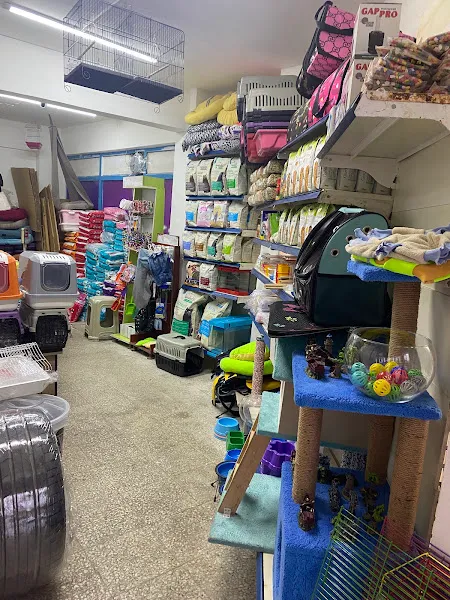 Veliefendi Petshop foto 2