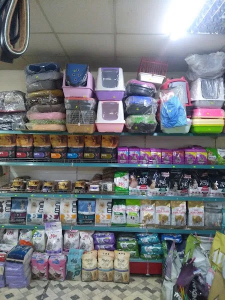 ON NUMARA PET SHOP foto 2