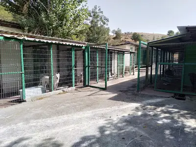 Çankaya Belediyesi Sahipsiz Hayvan Rehabilitasyon Merkezi