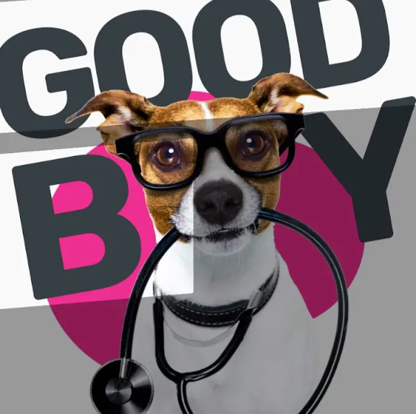 ERDEMLİ VETERİNERLİK ÖMER KIZILASLAN foto 2