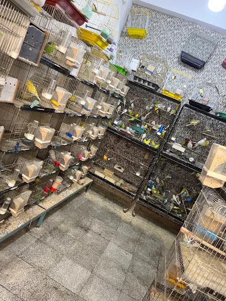 Pettonik Petshop - Evcil Hayvan Ürünleri foto 2