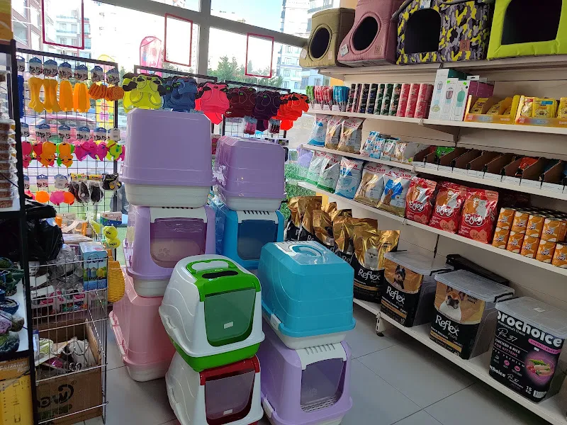 Liora petshop foto 2