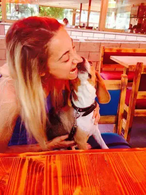 Yeldeğirmeni Köpek Kuaförü fotoğrafı
