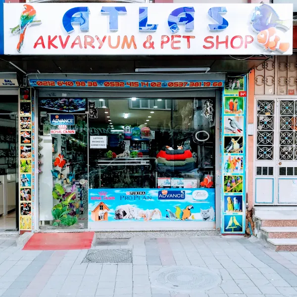 Atlas Pet Shop Akvaryum ‍ foto 1