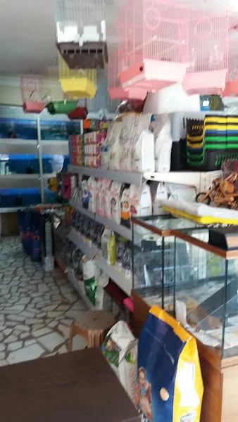 Gazi Akvaryum Pet Shop foto 2