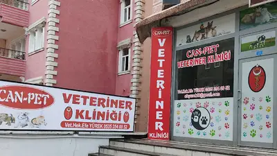 tatvan veteriner kliniği