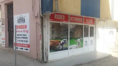 Rodeo Veteriner Kliniği