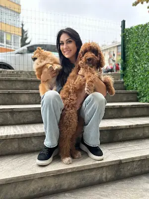 Şirinevler Pet Kuaför