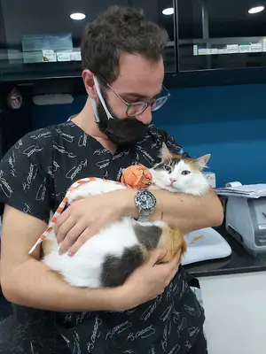 Bastet Veteriner Kliniği