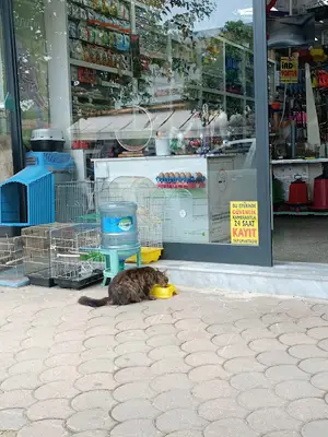 GÜR Kuş Cenneti (PETSHOP)