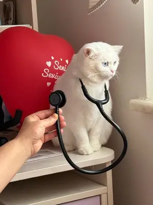Beethoven Veteriner Kliniği