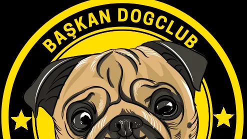 Başkan DogClub - Gebze Köpek Eğitimi & Köpek Oteli foto 1