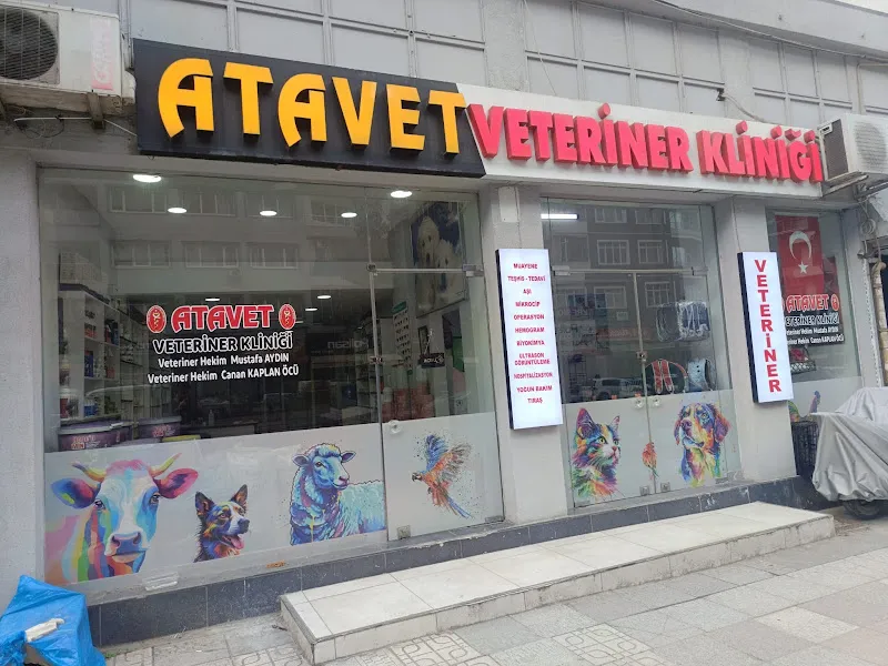 ATAVET Veteriner Kliniği foto 2