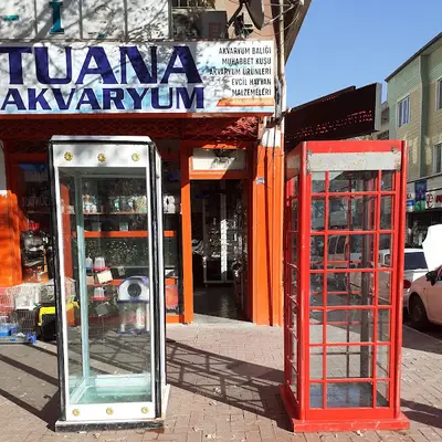Petshop Tuana Akvaryum ve Kuş, evcil hayvan mağzası