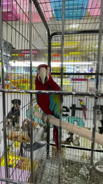 Ege Pet Shop foto 1