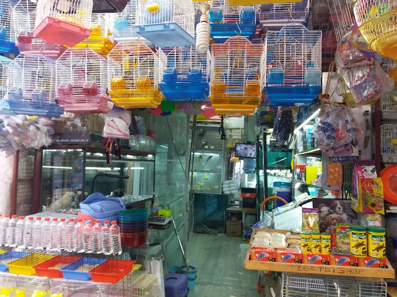 Ege Pet Shop foto 2