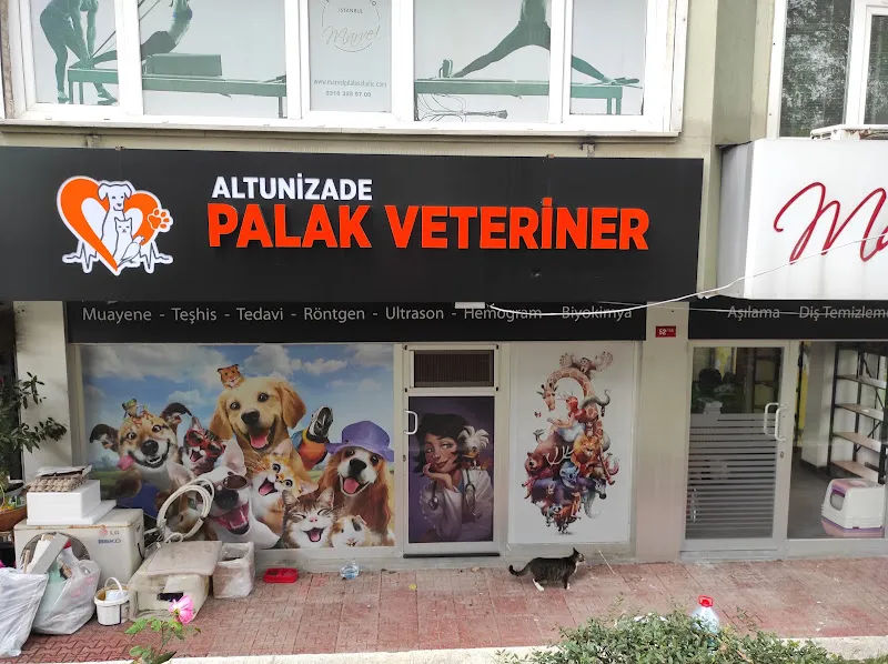 ALTUNİZADE PALAK VETERİNER KLİNİĞİ foto 1